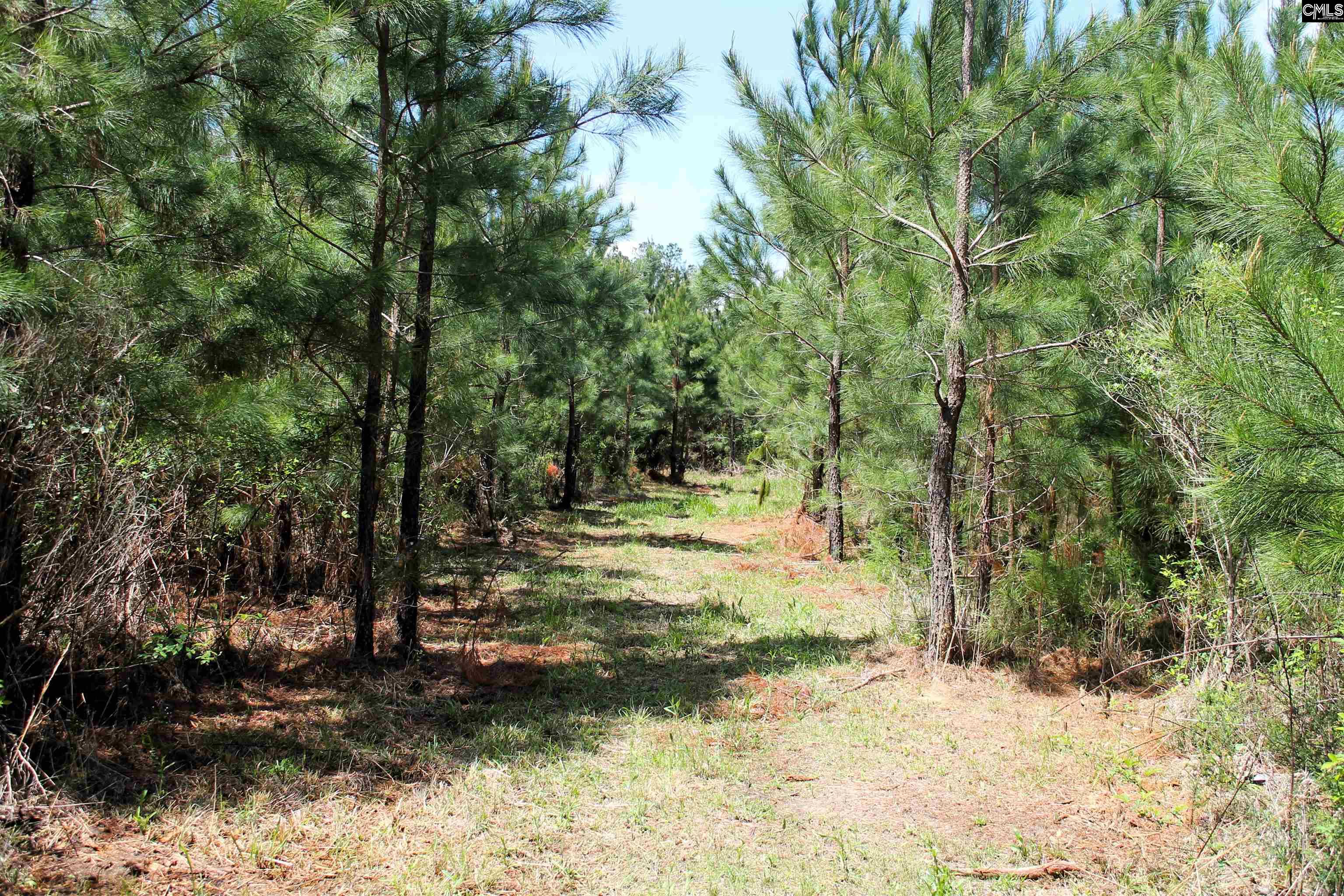 Tbd Crooked Creek Road Chapin, SC 29036 - Photo 11 of 20