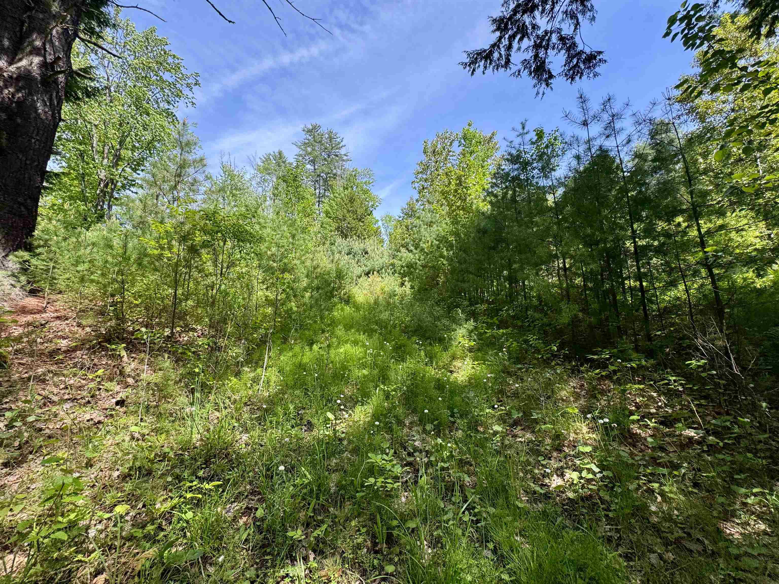 0 Mink Hill Road Bradford, VT 05033 - Photo 2 of 10