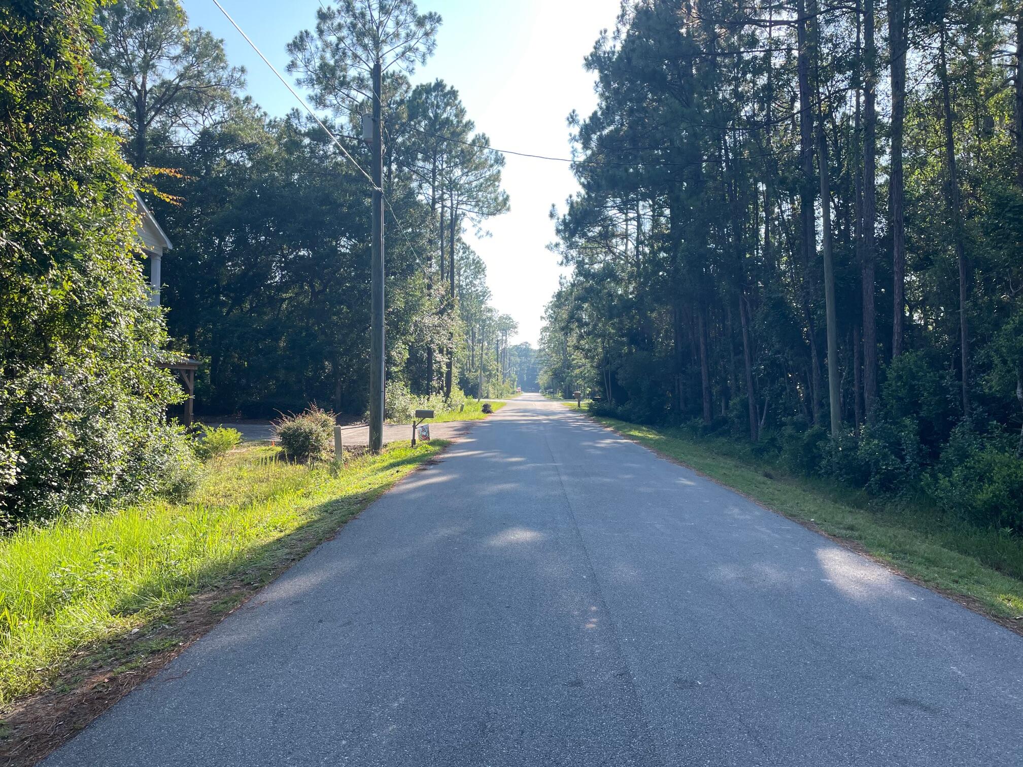 0 West Wild Blueberry Way Santa Rosa Beach, FL 32459 - Photo 11 of 19 a view of a yard with plants and trees