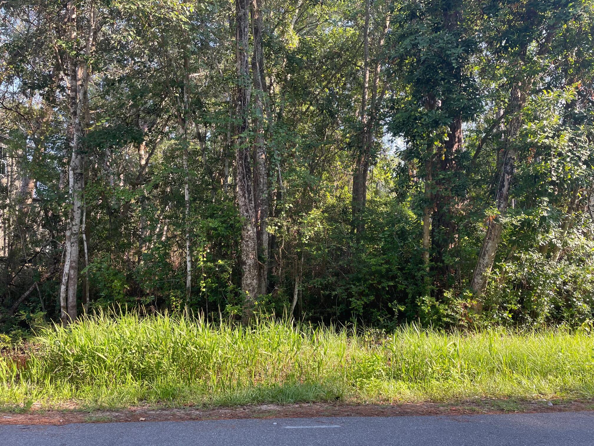 0 West Wild Blueberry Way Santa Rosa Beach, FL 32459 - Photo 8 of 19 a view of a yard