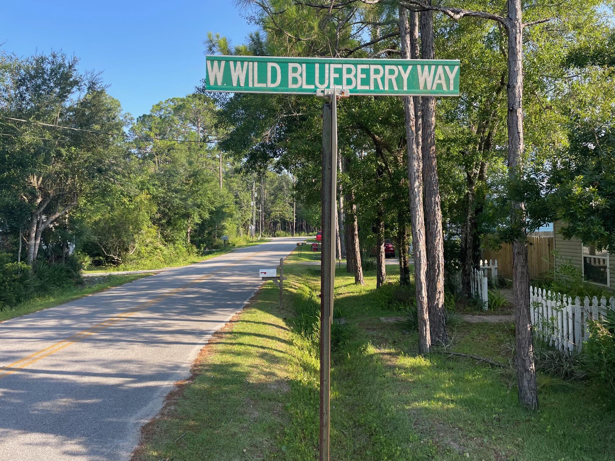 0 West Wild Blueberry Way Santa Rosa Beach, FL 32459 - Photo 10 of 19 a view of a park