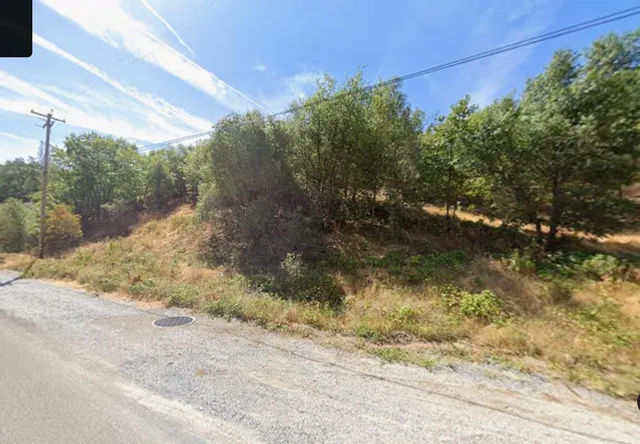 a backyard of a house with lots of green space