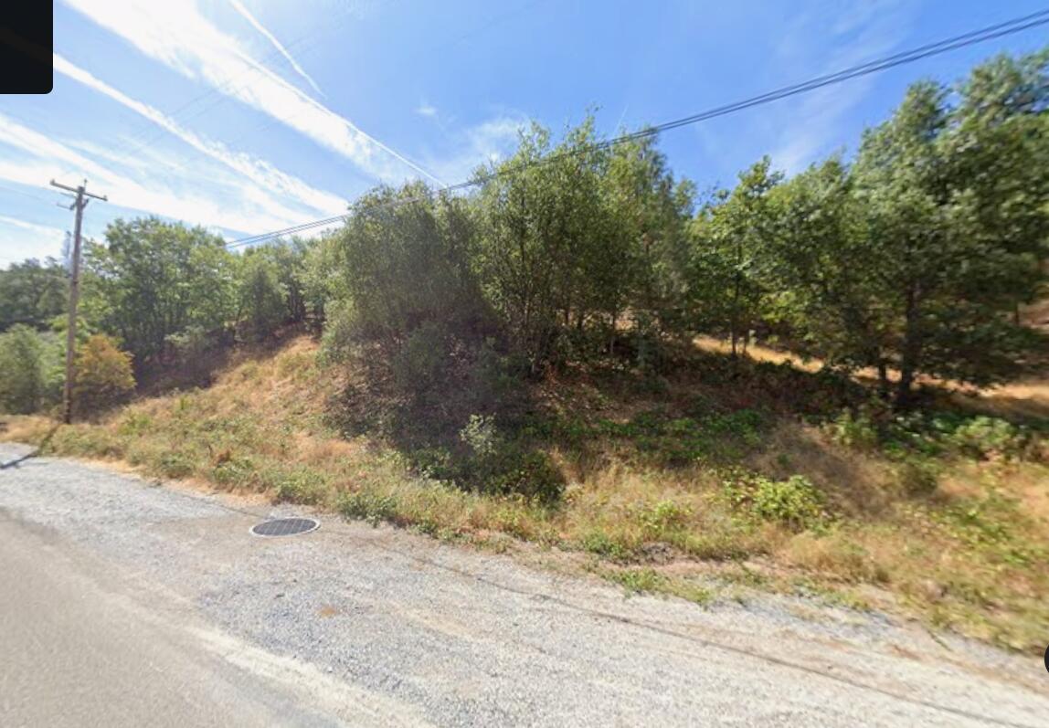Ravine Road Redding, CA 96003 - Photo 2 of 3 a backyard of a house with lots of green space
