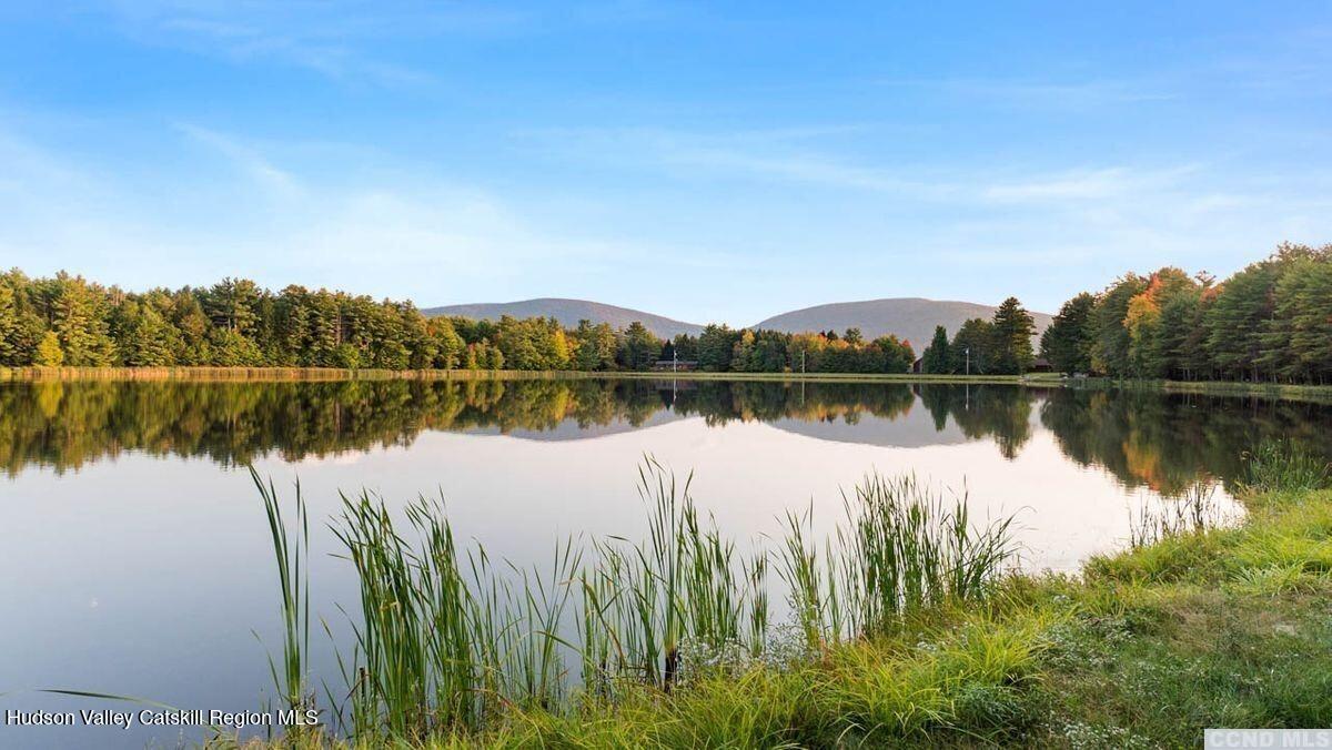 a view of a lake with houses in the back