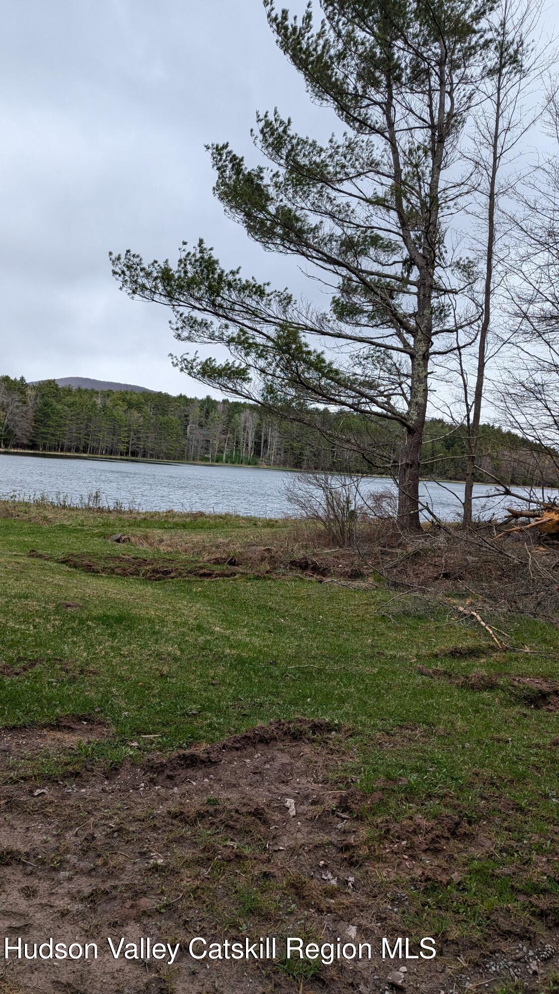 0 Conifer Lake Road West Jewett, NY 12444 - Photo 3 of 5 a view of a yard