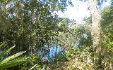 26-27 Meadowfield Bluffs Road Yulee, FL 32097 - Photo 4 of 5 Gallery Image 4