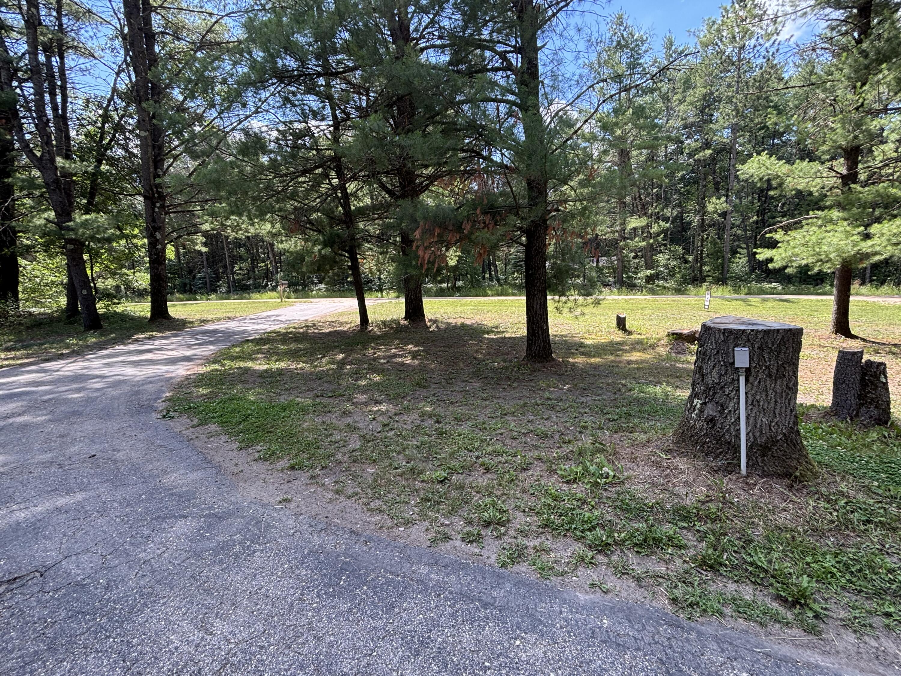 2594 South Forman Road Baldwin, MI 49304 - Photo 6 of 28 Circle drive