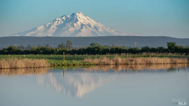 a view of a lake with houses in the back