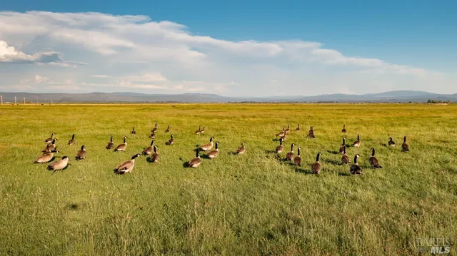 a view of a large building