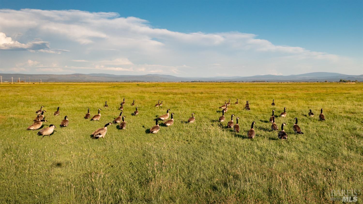 42369 Horr Road Fall River Mills, CA 96028 - Photo 33 of 43 view of an ocean