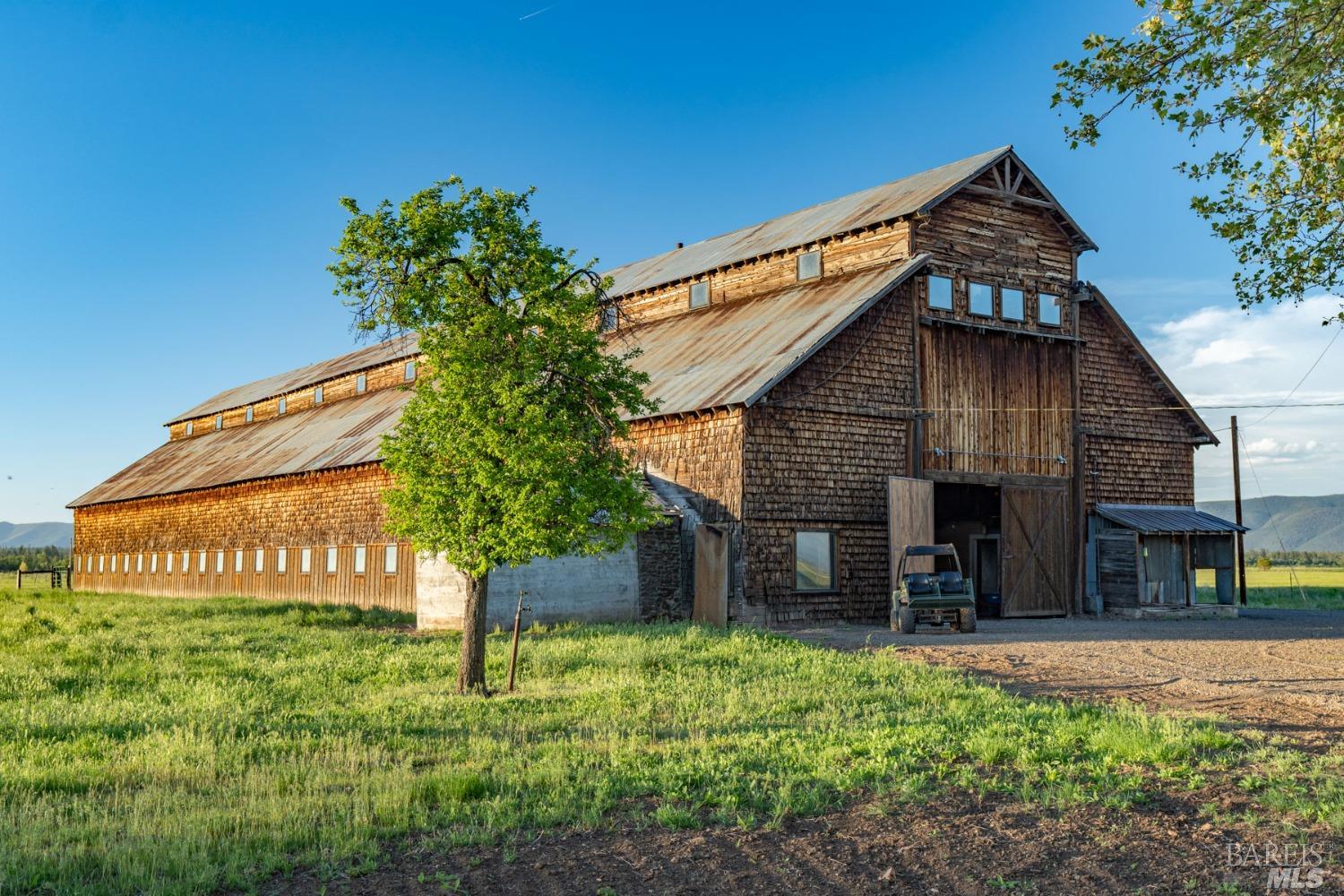 42369 Horr Road Fall River Mills, CA 96028 - Photo 34 of 43 a backyard of a house with lots of green space