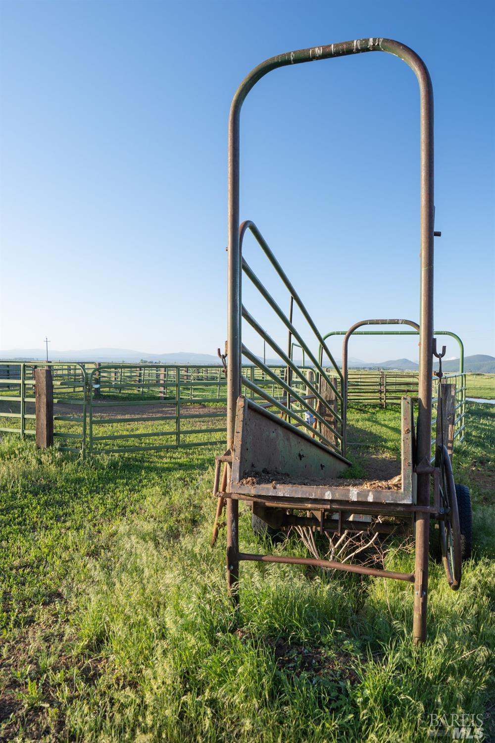 42369 Horr Road Fall River Mills, CA 96028 - Photo 38 of 43 a backyard of a house with lots of green space