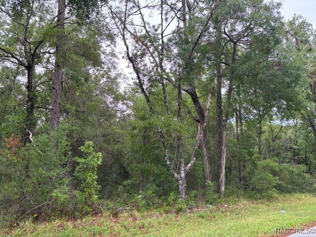 359 North Fitzpatrick Avenue Inverness, FL 34453 - Photo 2 of 7