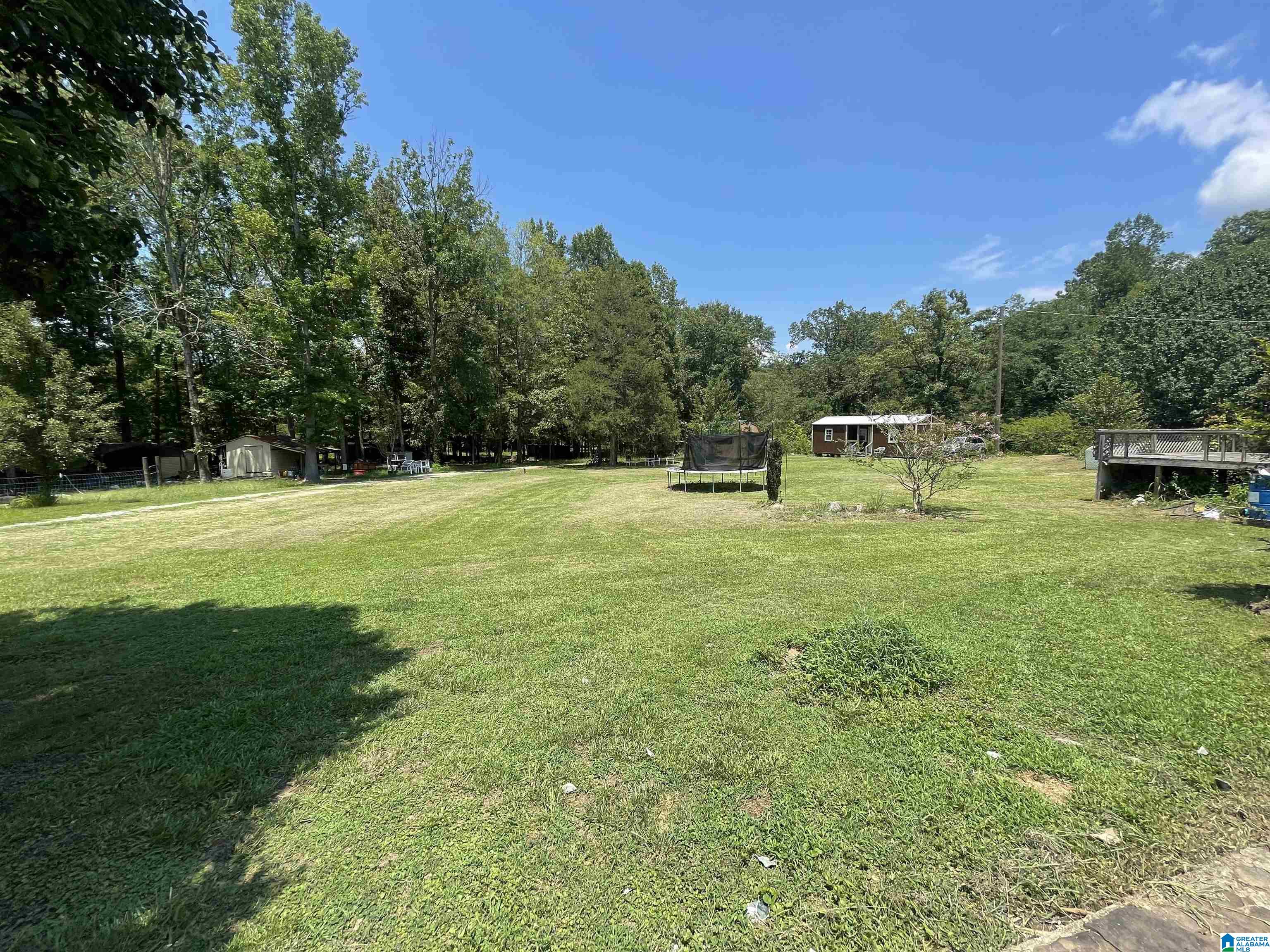 165 Crawfish Lane Ragland, AL 35131 - Photo 12 of 22