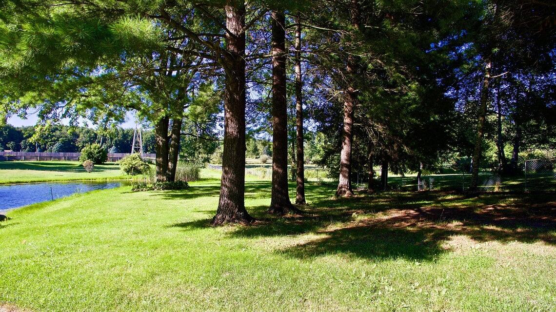 11640 West Monroe Road Riverdale, MI 48877 - Photo 4 of 10 franfrontyard