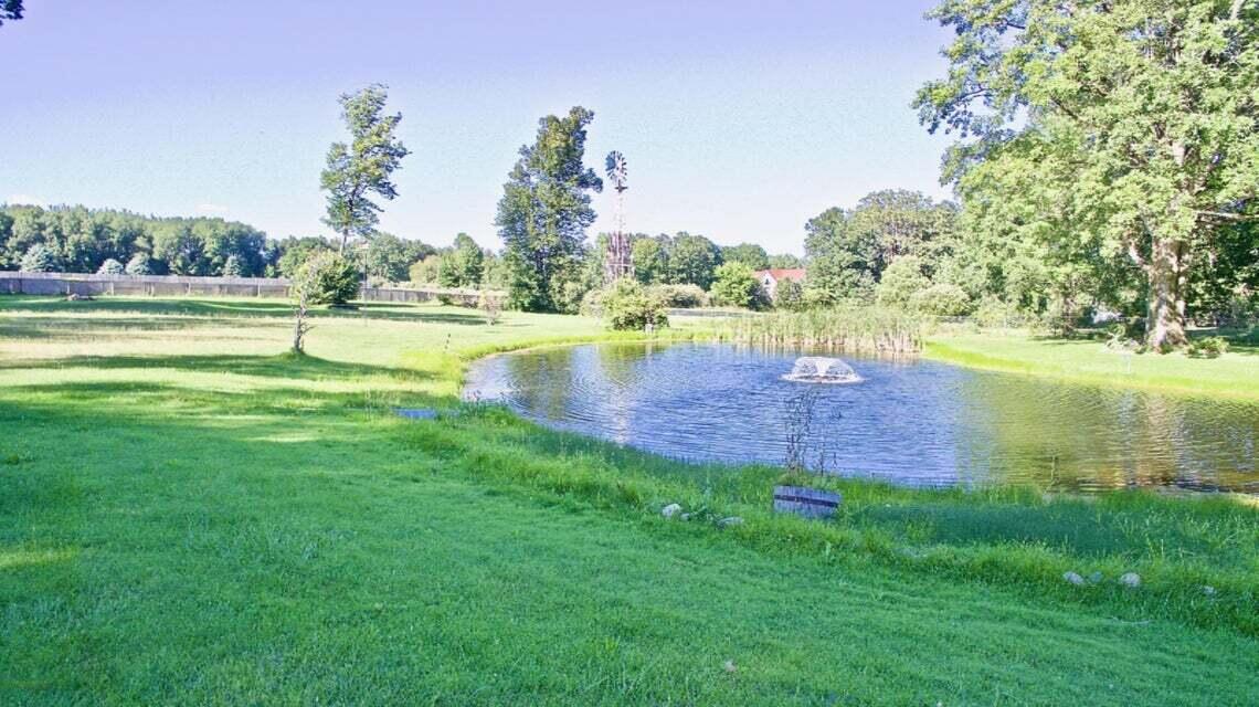 11640 West Monroe Road Riverdale, MI 48877 - Photo 6 of 10 frananglepond