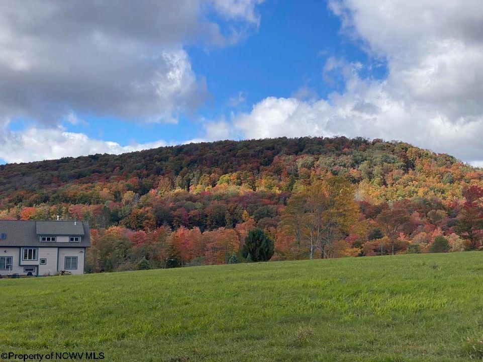 53 View Ridge Drive Davis, WV 26260 - Photo 2 of 8 Gallery Image 2