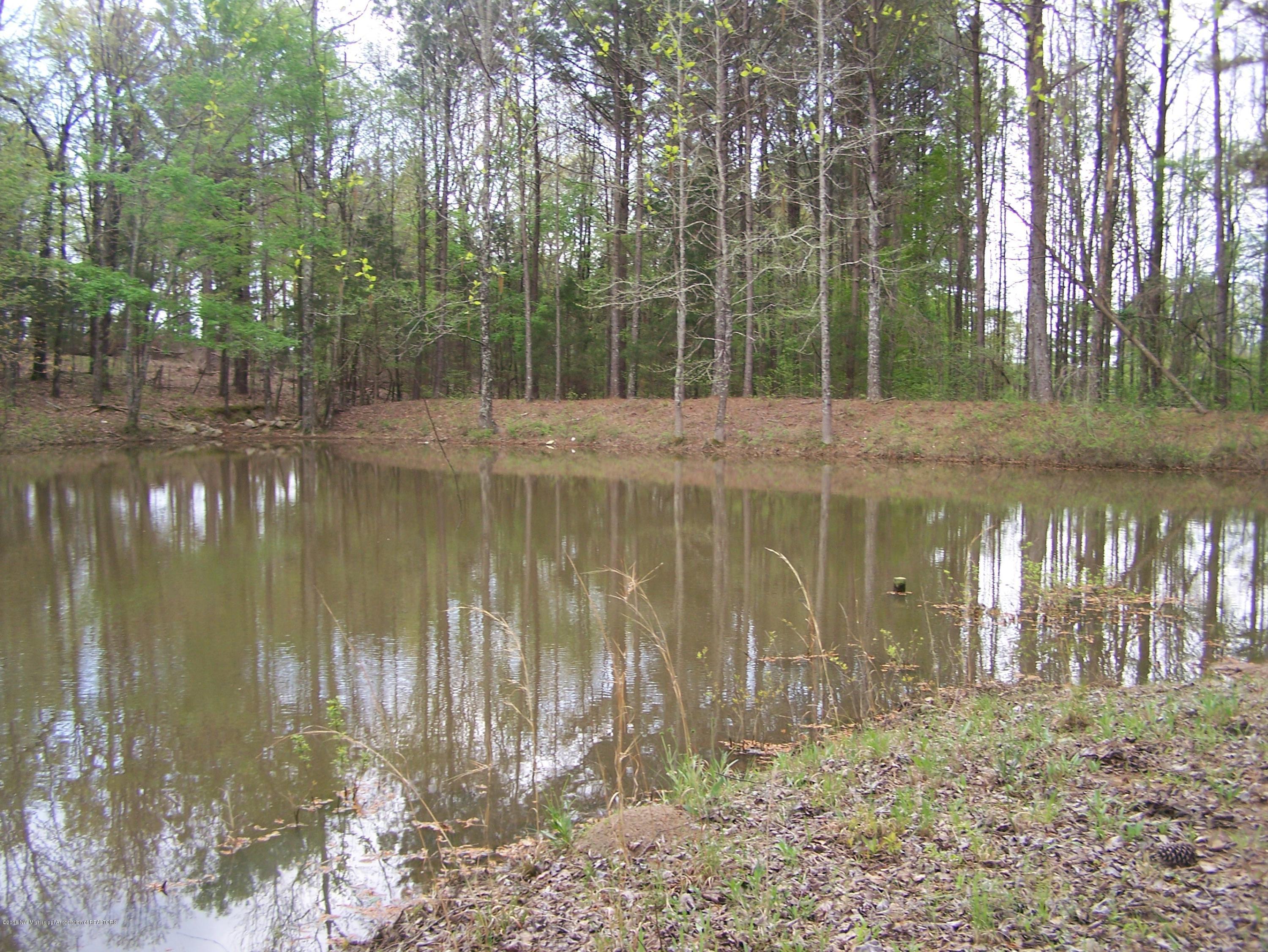 34009 Blackjack Road Batesville, MS 38606 - Photo 20 of 27 035