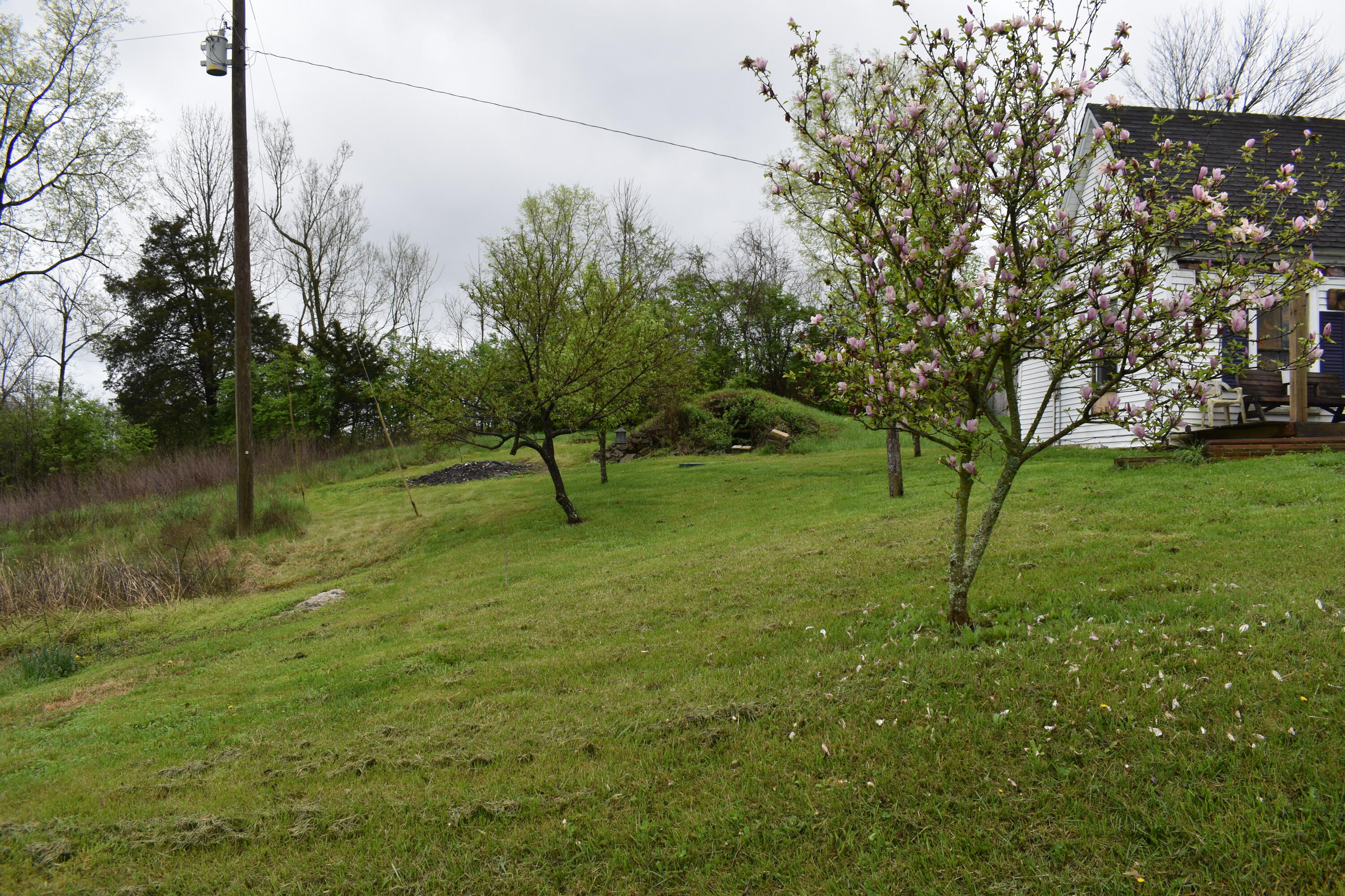 866 McCouns Ferry Road Salvisa, KY 40372 - Photo 3 of 13 DSC_0005