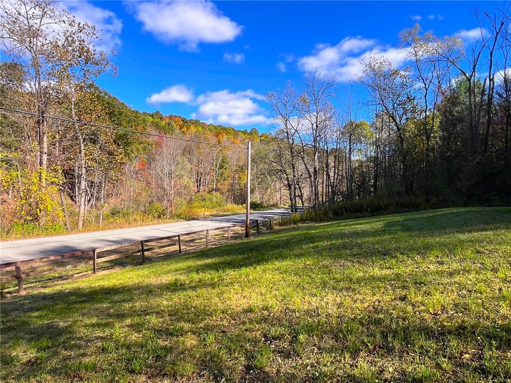 4880 Deusenberry Road Cohocton, NY 14826 - Photo 2 of 25