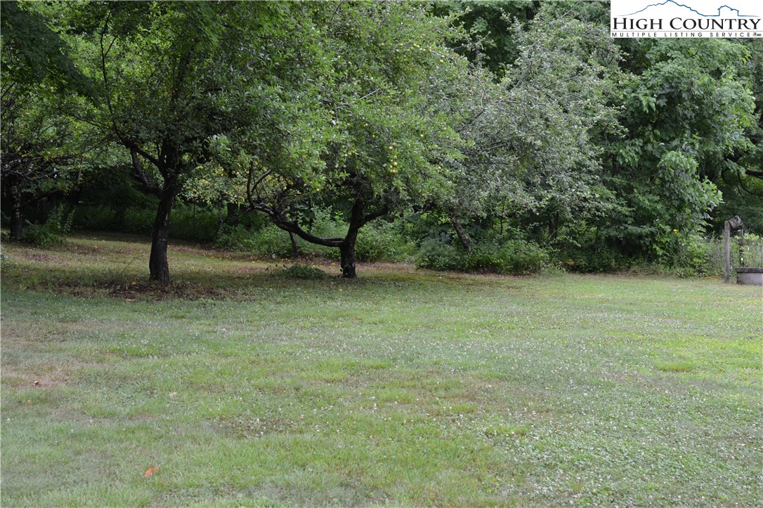 283 Baldwin Road West Jefferson, NC 28694 - Photo 14 of 17 Gallery Image 14