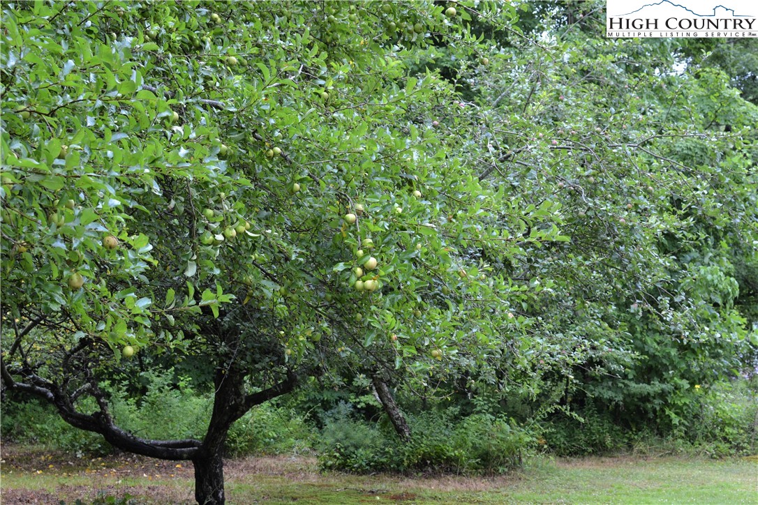 283 Baldwin Road West Jefferson, NC 28694 - Photo 15 of 17 Gallery Image 15