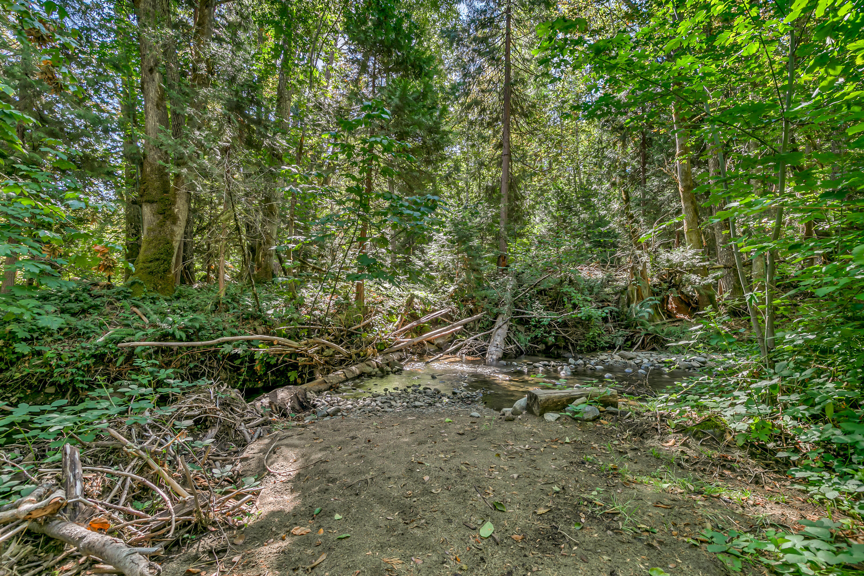 3496 East Fork Road Williams, OR 97544 - Photo 85 of 97 9R9A8301