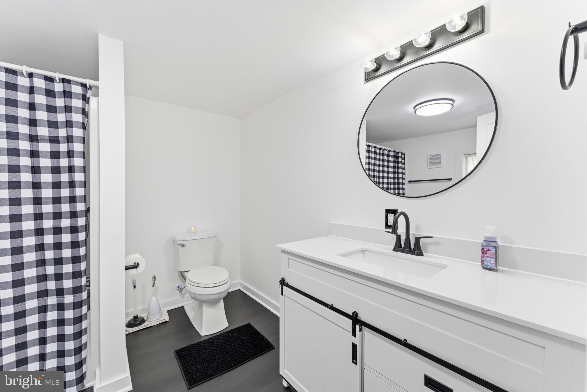 2459 Thoroughfare Road Culpeper, VA 22701 - Photo 29 of 59 a bathroom with a sink a toilet and a mirror