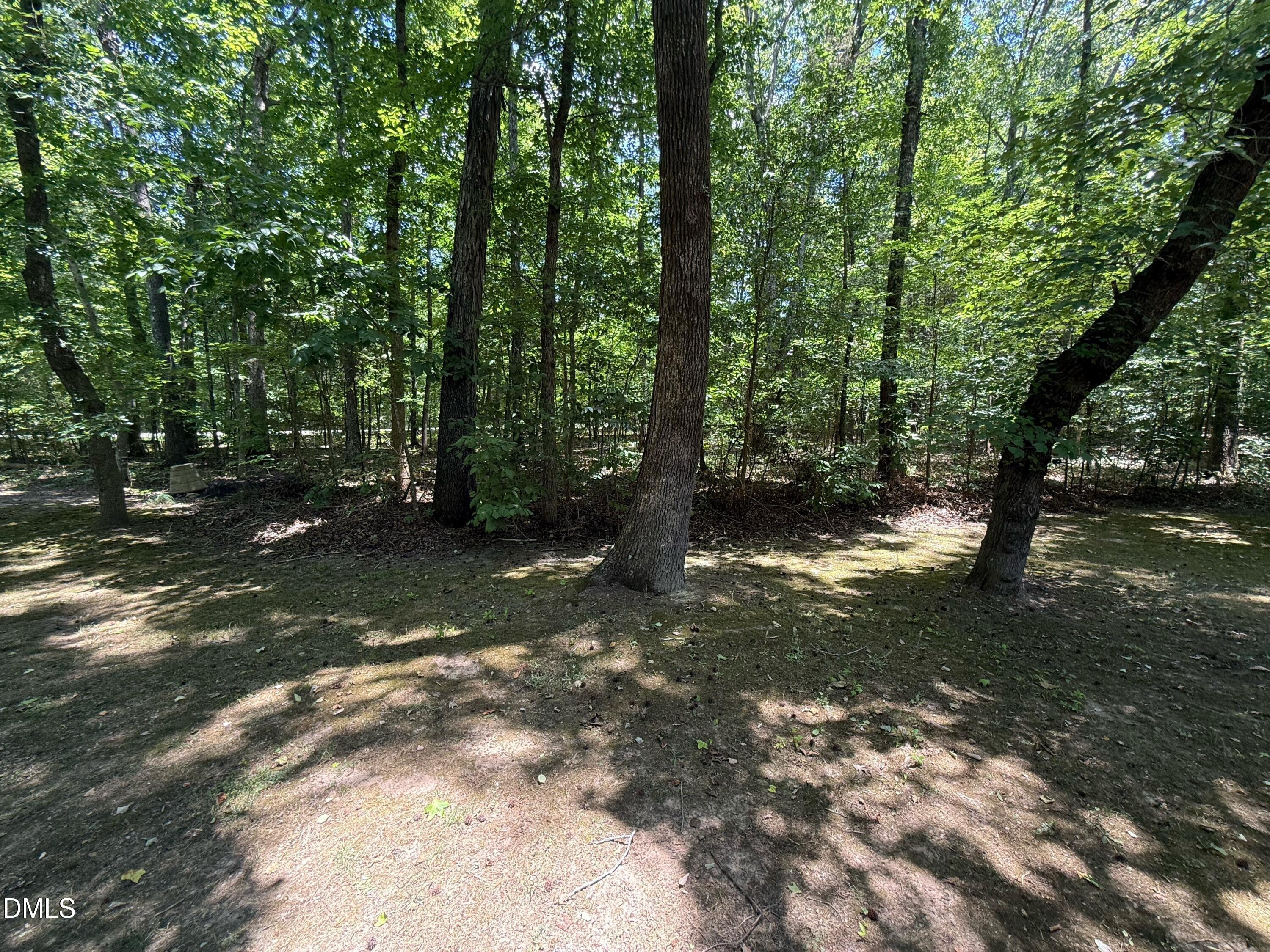 113 Chambers Road Rougemont, NC 27572 - Photo 11 of 28