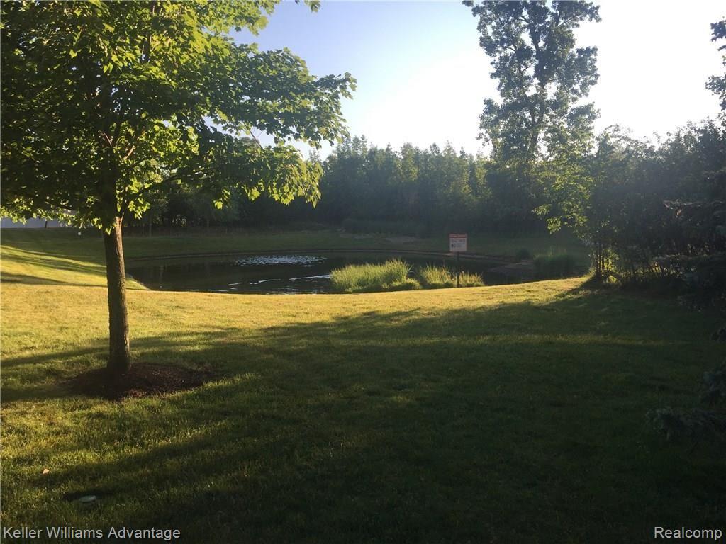 11790 Farmington Road Livonia, MI 48150 - Photo 4 of 15 IMG_1718.JPG