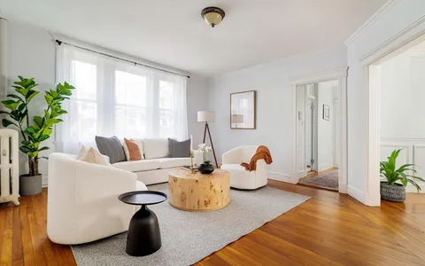 a living room with furniture and potted plant