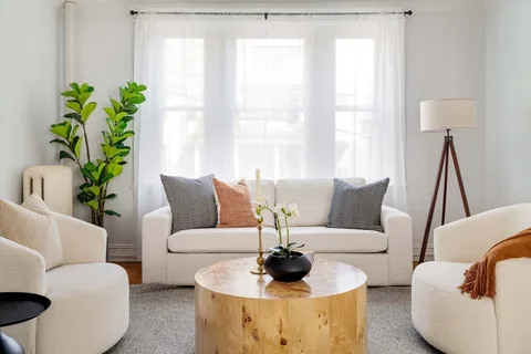 a living room with furniture and a potted plant