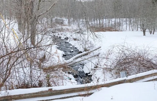 $230,000 | 24839 State Highway, Downsville, NY 13755