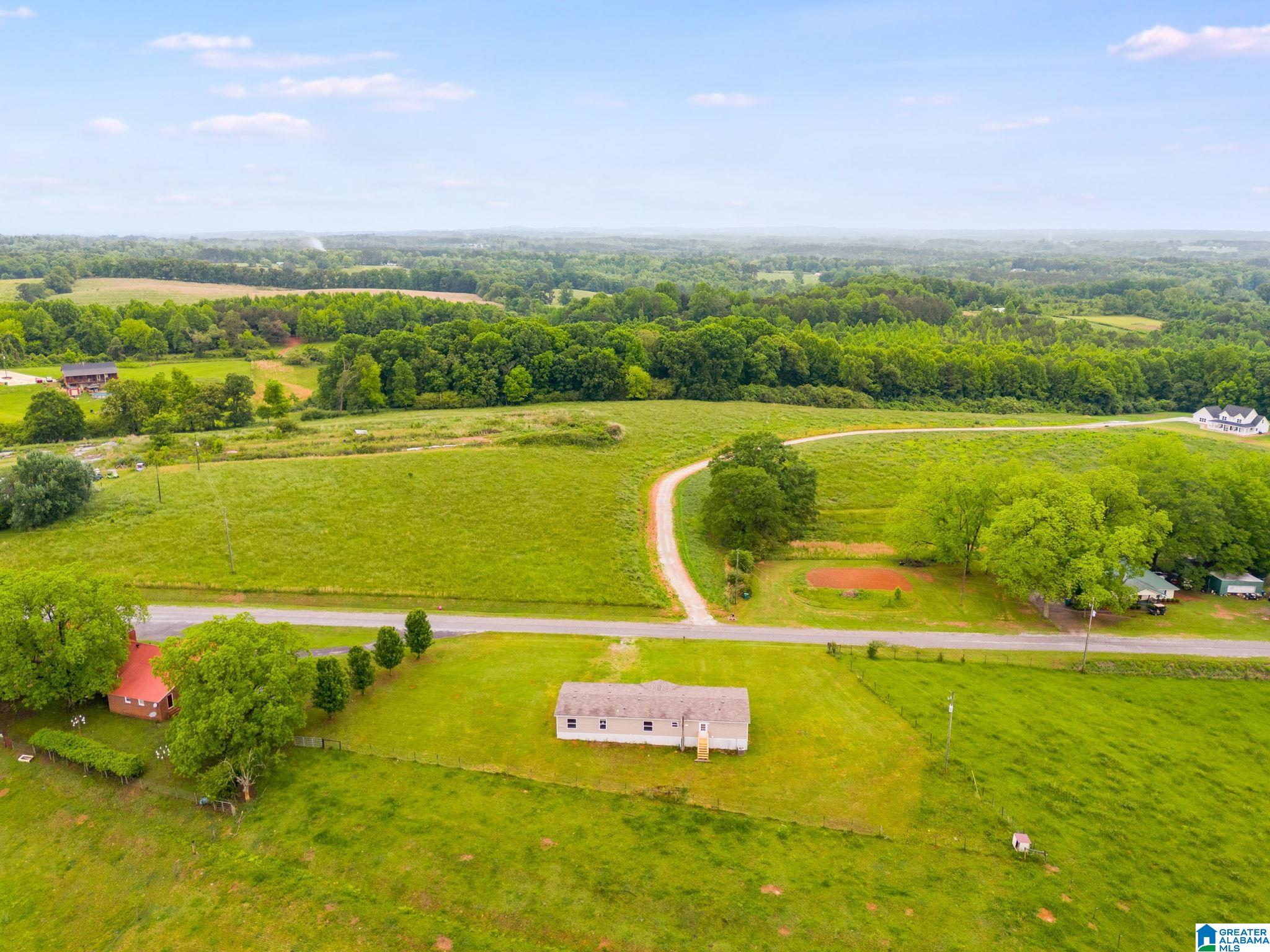 398 County Road 45 Ranburne, AL 36273 - Photo 22 of 23