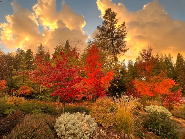 $480,000 | 694 Forest Meadows Drive, Murphys, CA 95247