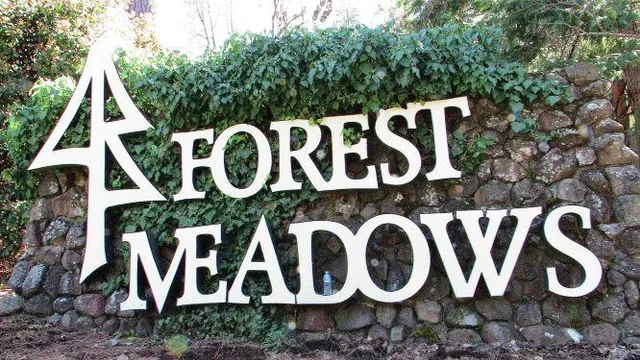 $480,000 | 694 Forest Meadows Drive, Murphys, CA 95247