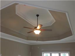 2009 Rudder Court Spring Hill, TN 37174 - Photo 4 of 15 owner's suite includes this stunning trey ceiling