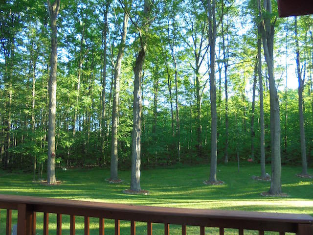 3525 Oaks Road Fairview, MI 48621 - Photo 22 of 29 Gallery Image 22