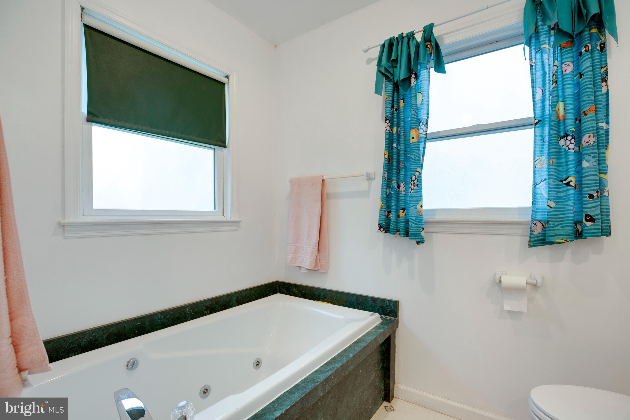 20711 Blue Ridge Mountain Road Paris, VA 20130 - Photo 43 of 82 upstairs primary bathroom