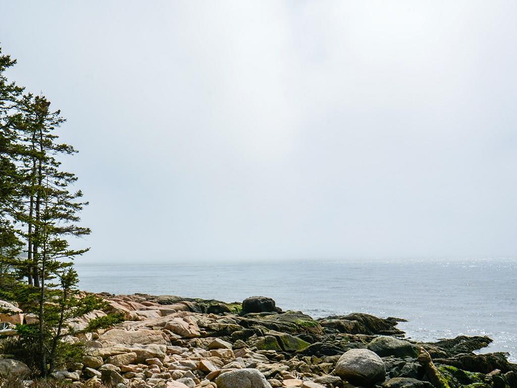 587 Jericho Bay Road Swans Island, ME 04685 - Photo 28 of 33 The beauty of a foggy day.