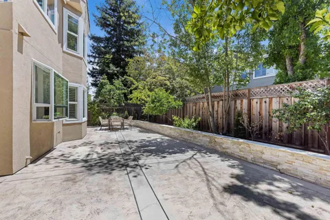a view of backyard with tree