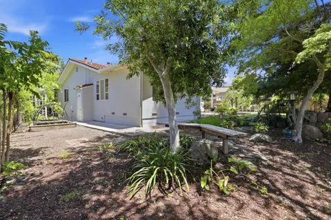 a view of backyard with potted plants and large tree