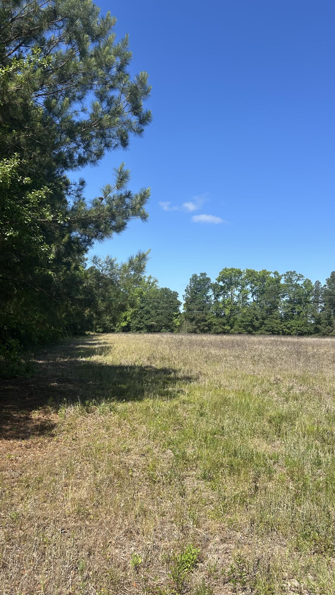 0 Pleasant Grove Road Walterboro, SC 29488 - Photo 4 of 6