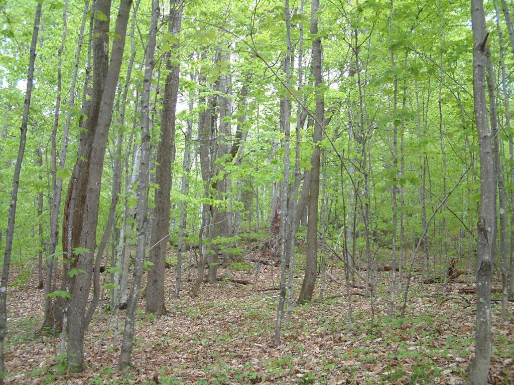 1671 Taylor Hill Road Brookfield, VT 05036 - Photo 19 of 34