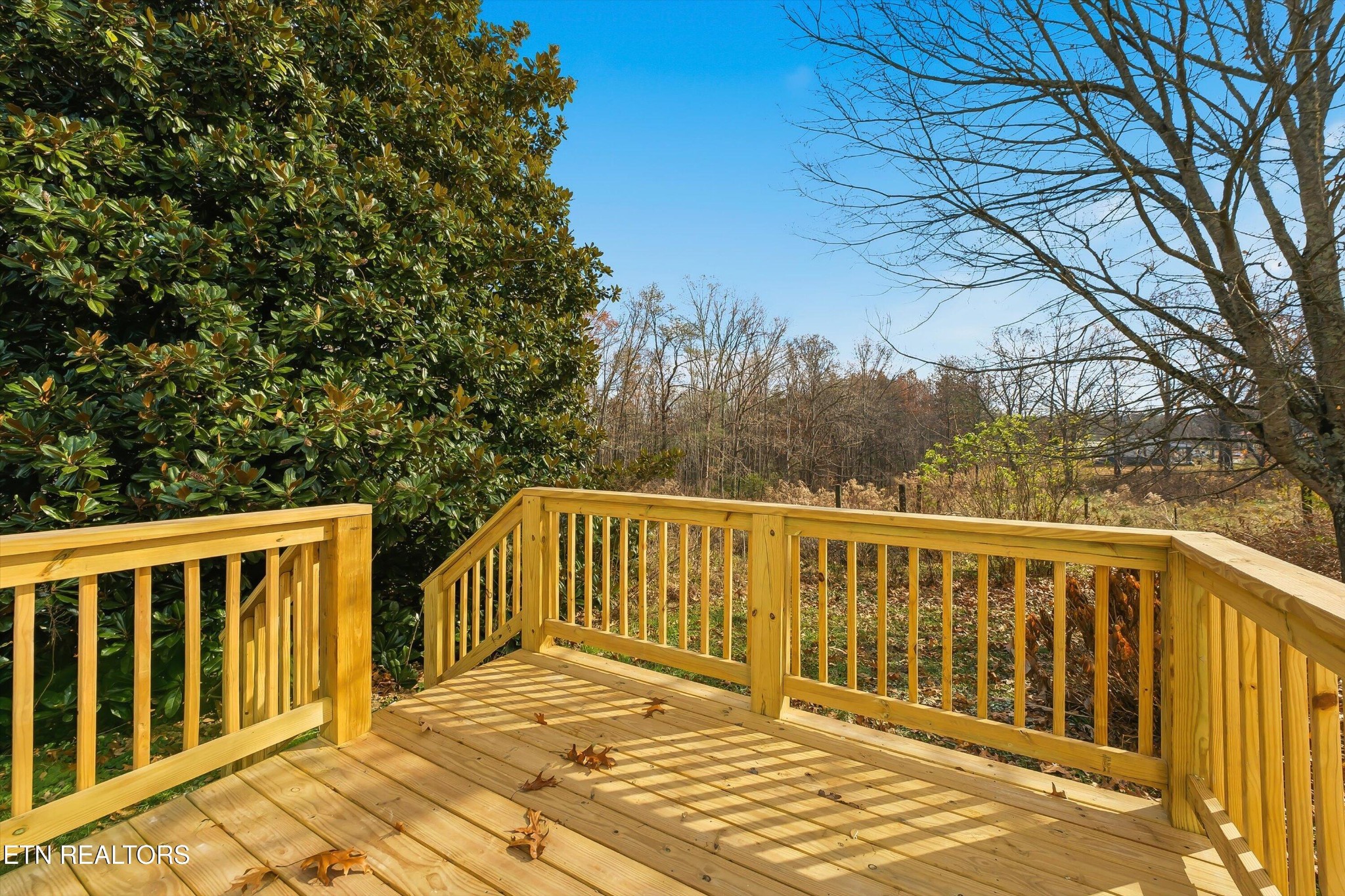 567 Dogwood Road Rockwood, TN 37854 - Photo 24 of 48 a view of wooden deck and a yard