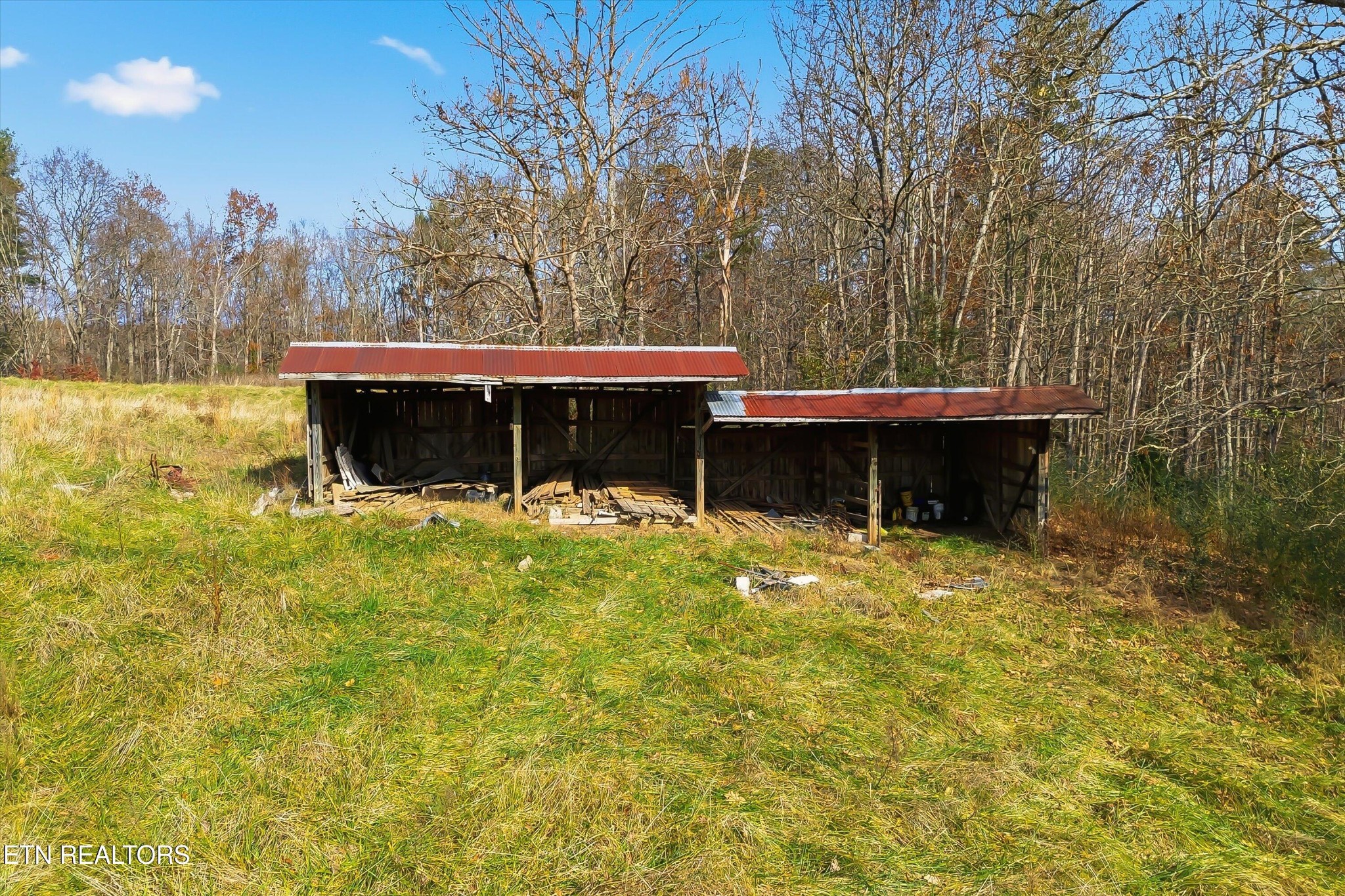 567 Dogwood Road Rockwood, TN 37854 - Photo 35 of 48 a view of a house with a large tree and a yard