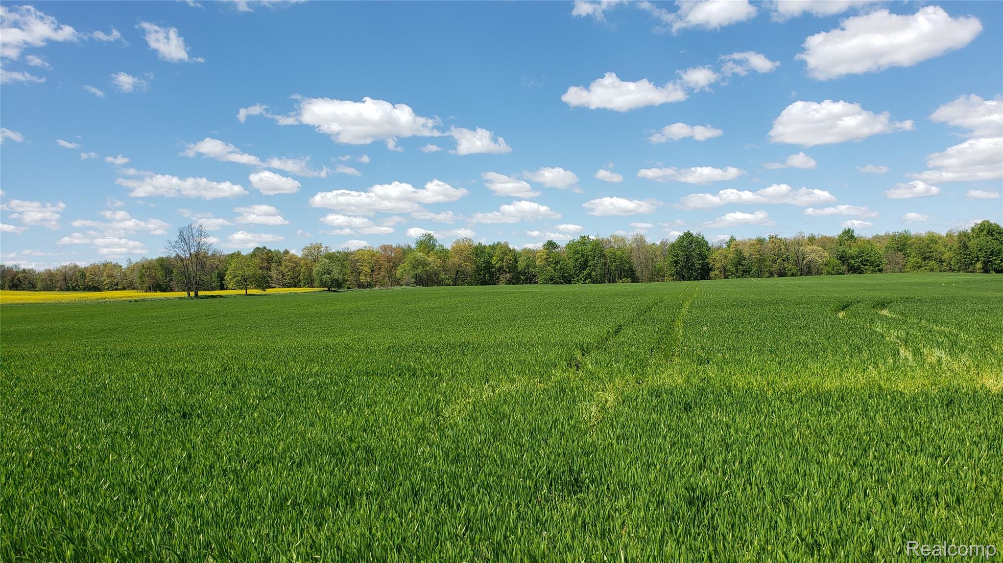 12793 North Gibbs Road Springport, MI 49284 - Photo 30 of 33 MORE BREATH TAKING VIEWS