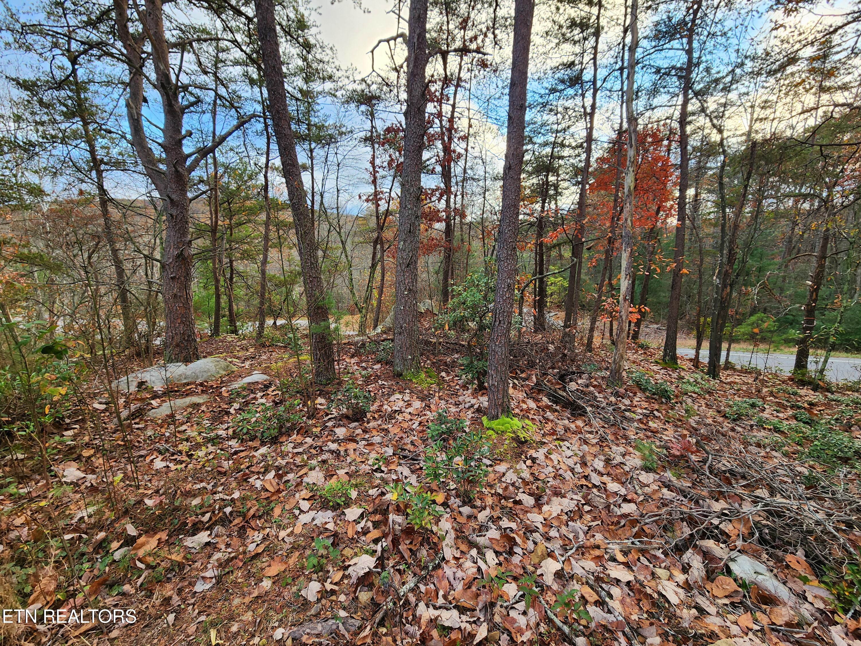 Kerrigan Road Crossville, TN 38555 - Photo 8 of 11 20241101_165541