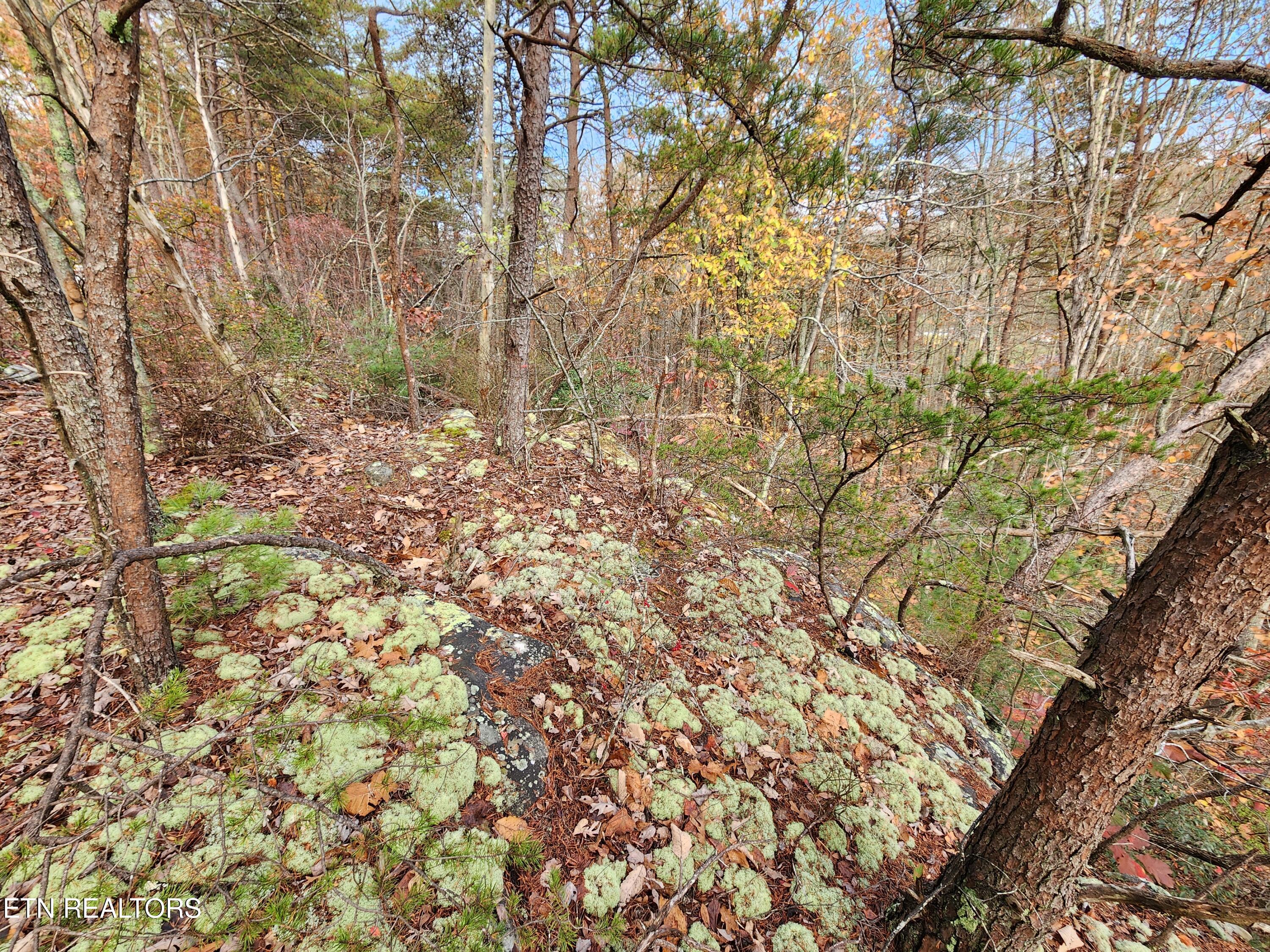 Kerrigan Road Crossville, TN 38555 - Photo 10 of 11 20241101_165625