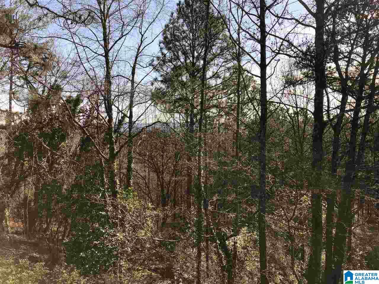4609 Dolly Ridge Road Birmingham, AL 35243 - Photo 13 of 23